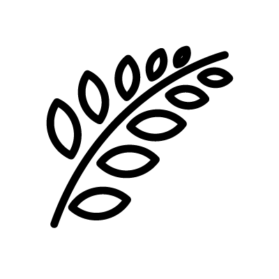 masonic acacia symbol